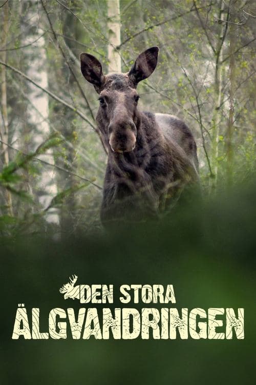 Den stora älgvandringen Serial Online